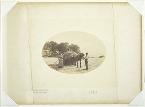 Na svazích Cader-Idris, Poslední náklad sena, 1883. od Henry Peach Robinson