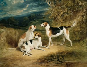 Hounds vévody z Rutlandu s hradem Belvoir v dálce, 1828