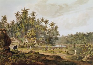 Pohled poblíž Point du Galle, Ceylon, rytý Daniel Havell (1785-1826), publikoval v roce 1809 od Henry Salt