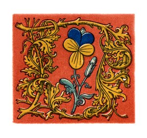 Počáteční písmeno D, druhá polovina patnáctého století, 1843. od Henry Shaw