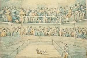 Psí zápas ve Westminster Pitt od Henry Thomas Alken