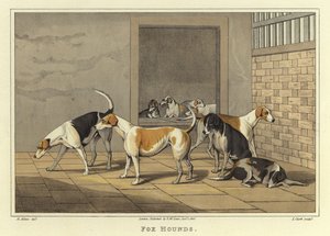 Fox Hounds (chromolitho) od Henry Thomas Alken
