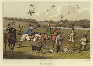 Hawking (chromolitho) od Henry Thomas Alken