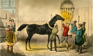 Baron vills jeho Mokrý, 1838 od Henry Thomas Alken