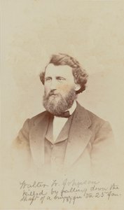Carte-de-visit portrét Waltera W. Johnsona, 1868.