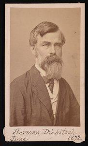 Portrét Hermana Henryho Diebitsche 1818-1883, 1871.