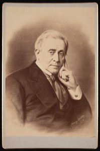 Portrét Josepha Henryho 1797-1878, 1879.