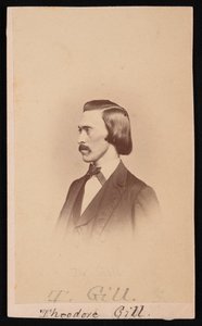 Portrét Theodore Nicholas Gill 1837-1914, mezi 1865 a 1870. od Henry Ulke