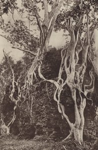 Zničená města Cejlonu: Kotuwa (černobílá fotografie)
