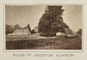 Zřícenina kláštera Godstow Nunnery