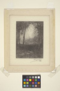 V Adirondacks (inkoust) od Henry Wolf