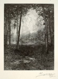 V Adirondacku od Henry Wolf