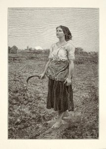 Píseň skřivana od Henry Wolf