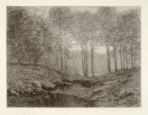 Letní ráno od Henry Wolf
