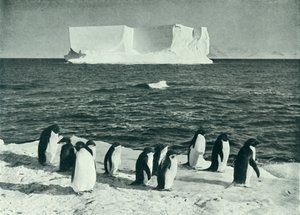 A Berg Drifting v McMurdo Sound, c19101913, 1913. od Herbert Ponting