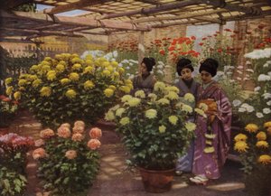 Na Chrysanthemum Show (foto) od Herbert Ponting