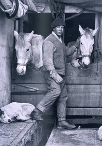 Kapitán Oates a dva poníci na Terra Nova z „Scottovy poslední expedice“ (černobílá fotografie) od Herbert Ponting