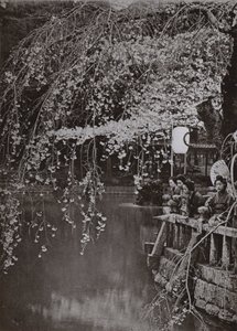 Čas třešňového květu v Japonsku (černobílá fotografie) od Herbert Ponting