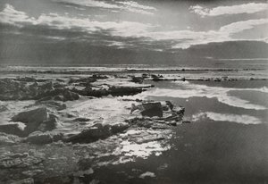 Štědrý večer 1910 ve smečce, 1913 od Herbert Ponting