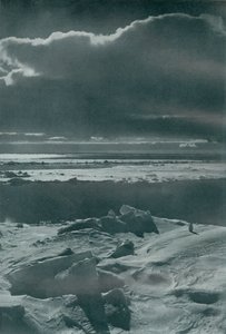 Večerní scéna ve smečce, c19101913, 1913 od Herbert Ponting