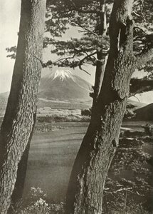 Fuji přes borovice jezera Motosu, 1910. od Herbert Ponting