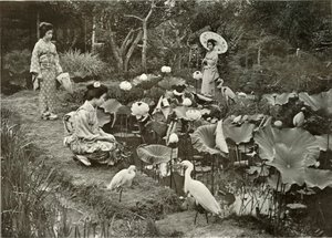 V Lotosové zemi, 1910. od Herbert Ponting