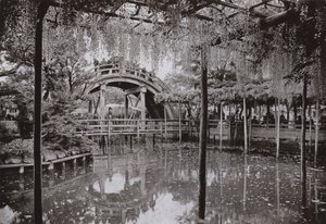Kameido (černobílá fotografie) od Herbert Ponting