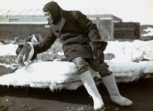 Muž s tučňákem během anglické expedice do Antarktidy od Herbert Ponting