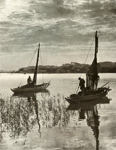 V Tokijském zálivu, 1910. od Herbert Ponting