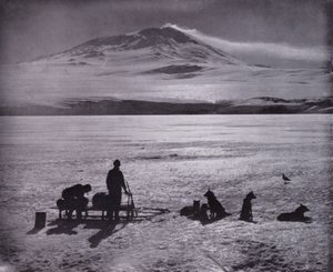 Sáně a psi, s horou Erebus v pozadí (černobílá fotografie) od Herbert Ponting