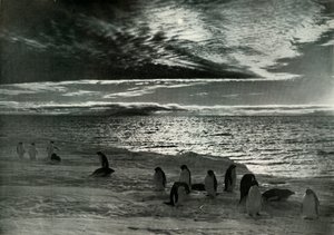 Půlnoční slunce v McMurdo Sound, c19101913, 1913 od Herbert Ponting