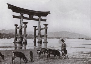 Stará Torii v Miyajima (černobílá fotografie) od Herbert Ponting