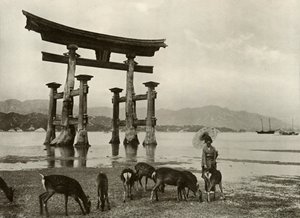 Stará Torii v Miyajima, 1910. od Herbert Ponting