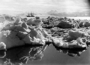 Terra Nova v McMurdo Sound, Antarktida, 1911 od Herbert Ponting
