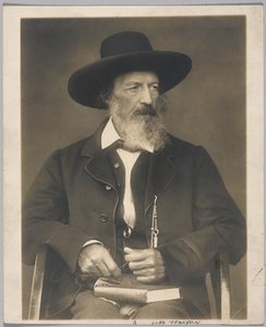 Lord Tennyson (želatinová stříbrná fotografie) od Herbert Rose Barraud