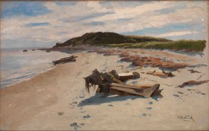 Cape Cod, Pláž