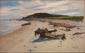 Cape Cod, Pláž, 1894.