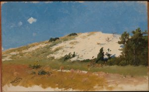 Cape Cod, Písečná duna od Herman Hartwich