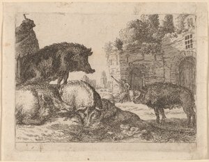 Prasata od Herman van Swanevelt