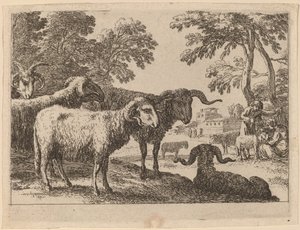 Berani od Herman van Swanevelt