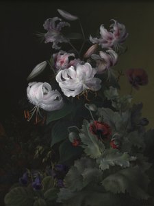  od Hermania Sigvardine Neergaard
