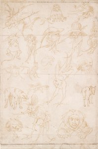 Groteskní studie, c1500-1520 od Hieronymus Bosch