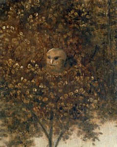 La Nef de Fous - Loď bláznů ... od Hieronymus Bosch