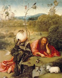 „Svatý Jan Křtitel dřímal v přírodě““ Obraz od Hieronyma Van Aekena (Aken) říká Jerome Bosch (1450-1516) 1504-1505 Madrid. Nadace Lazara Galdiana od Hieronymus Bosch