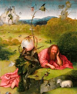 Svatý Jan Křtitel v poušti, konec 15. století. od Hieronymus Bosch