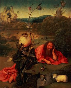 Svatý Jan Křtitel v meditaci (olej na desce) od Hieronymus Bosch