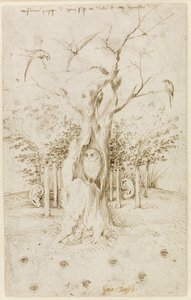 Dřevo má uši, pole má oči par Bosch, Hieronymus (asi 1450-1516). Pero, hnědá tuš na papíře, rozměr : 20,2x12,7, ca. 1500-1515, Staatliche Museen, Berlín od Hieronymus Bosch
