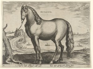 Kůň z Bretaně (Brittanus) Britannvs (název na objektu) Plemena koní z královské stáje Dona Juana z Rakouska (název seriálu) Equile Ioannis Austriaci Caroli (název série) od Hieronymus Wierix