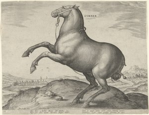 Kůň ze Skythie Cimber (název na objektu) Plemena koní z královské stáje Dona Juana z Rakouska (název seriálu) Equile Ioannis Austriaci Caroli (název série) od Hieronymus Wierix