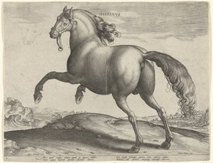 Kůň ze Španělska (Hispanus Alter) Hispanvs (název na objektu) Plemena koní z královské stáje Dona Juana z Rakouska (název seriálu) Equile Ioannis Austriaci Caroli (název série) od Hieronymus Wierix